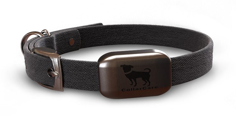 Hunde Gadget Halsband | Collar Care