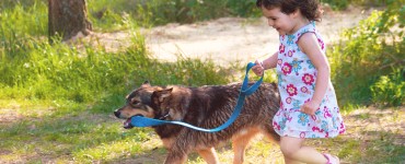 Hunde und Kinder