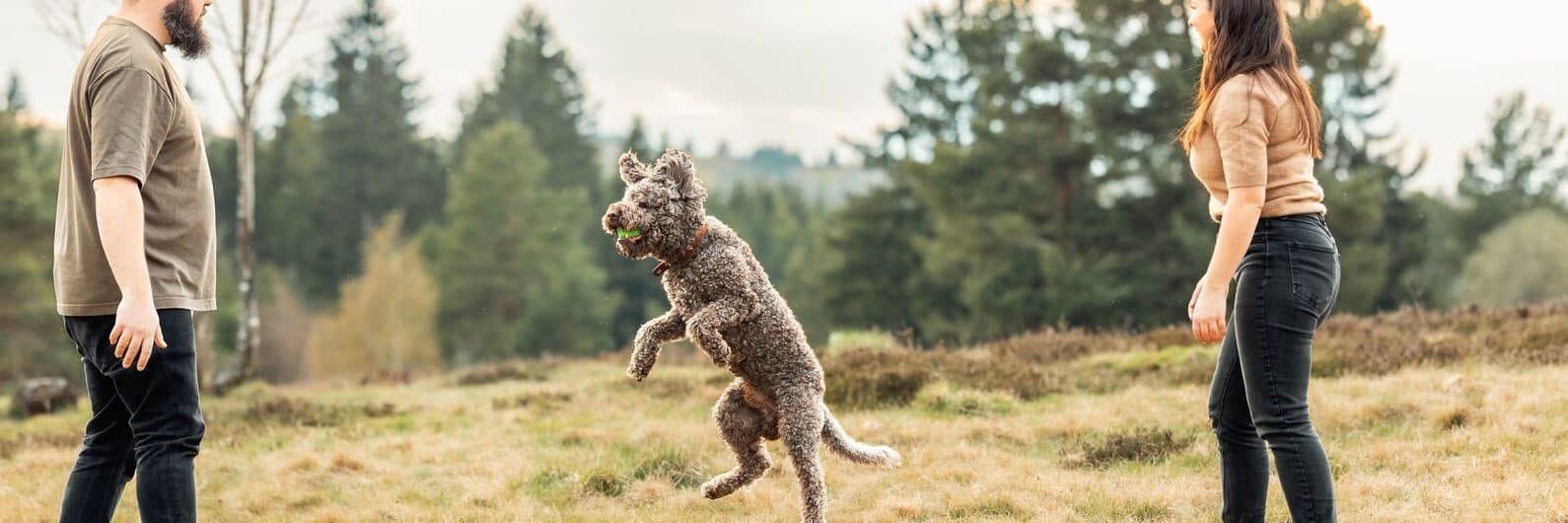 Hund springt zwischen Mann und Frau im Park.